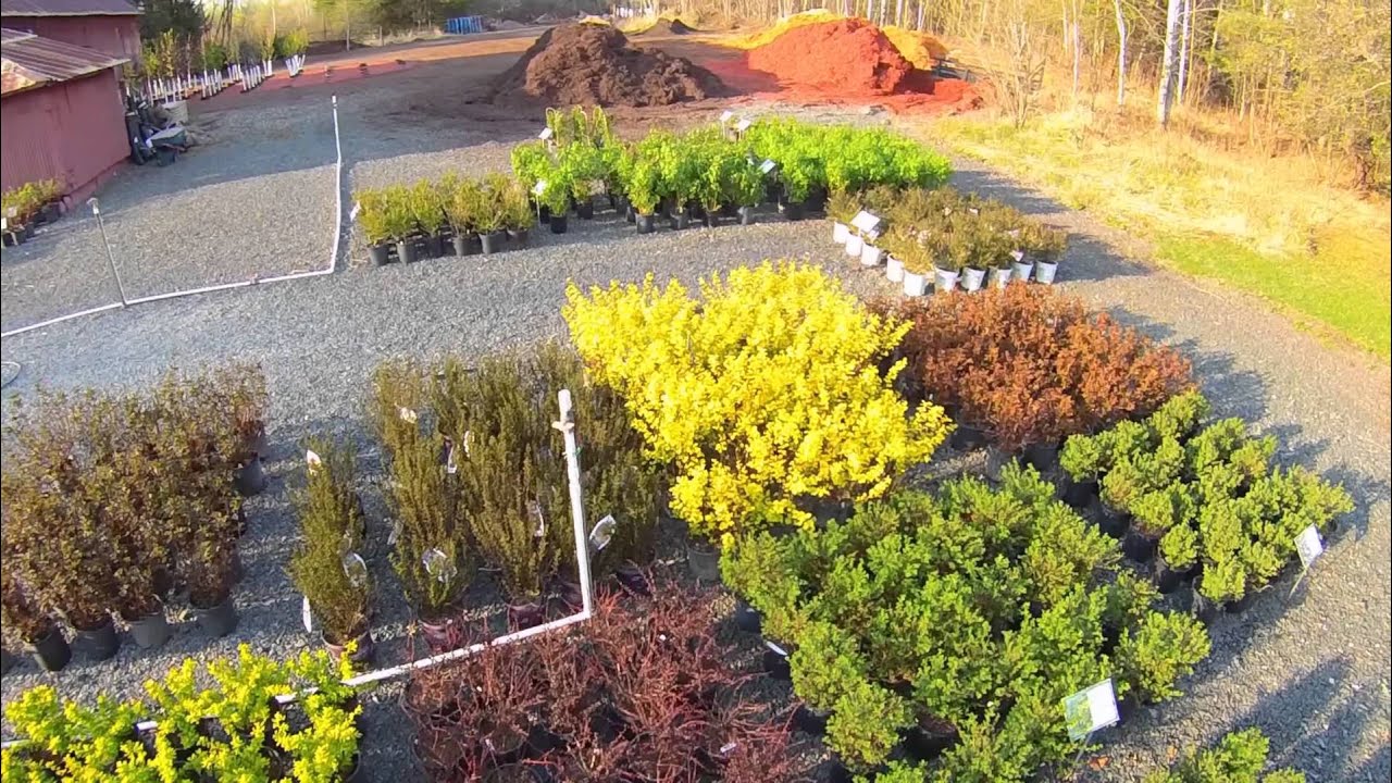 Grussendorf Nursery
