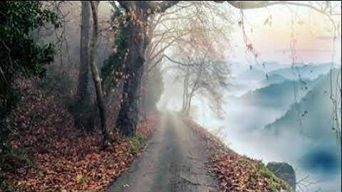 تلاوة مميزة تريح النفس وتشرح الصدر للقارئ عبد الرحمان مسعد