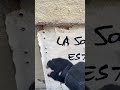 Sociedad podrida – arte urbano Barcellona, urban art clip, street art short