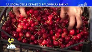 La sagra delle cerase di Palombara Sabina