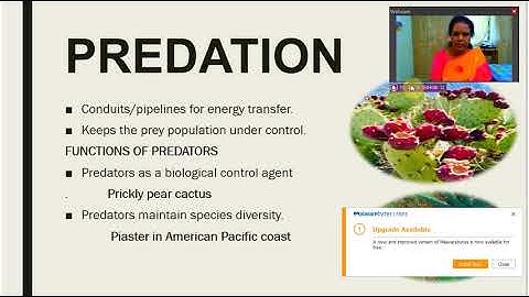 population Interactions Video 1