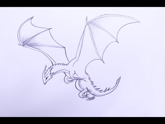 Flying Dragon Drawing - How To Draw A Flying Dragon Step By Step