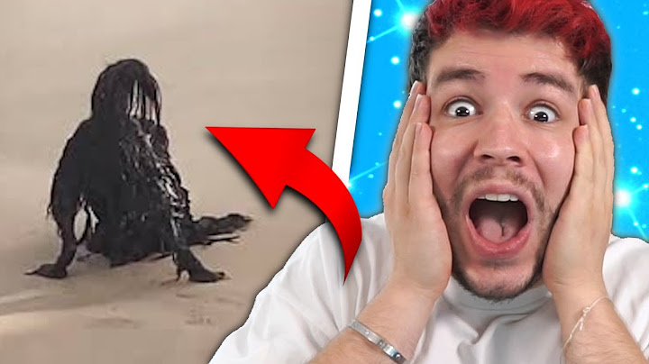 WAS ZUR HÖLLE IST DAS?? 😵 Sev reagiert auf lustige TikToks