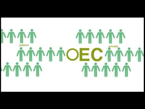 Operador Económico Calificado de Uruguay (OEC)