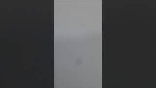 Download Lagu MUI GOKU . DRAGON BALL.  MYKKA C  KAPE MP3