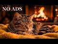 12 Hours Of Healing Music for Cats🎵🐱Anxiety Relief Music For Cats🎵Sleep Music for Anxious Cats