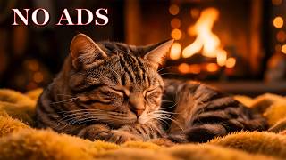 12 Hours Of Healing Music for Cats🎵🐱Anxiety Relief Music For Cats🎵Sleep Music for Anxious Cats