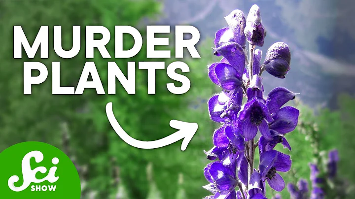 The Top 10 Deadliest Plants (They Can Kill You!) - DayDayNews