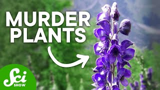 10 Plants That Could Kill You