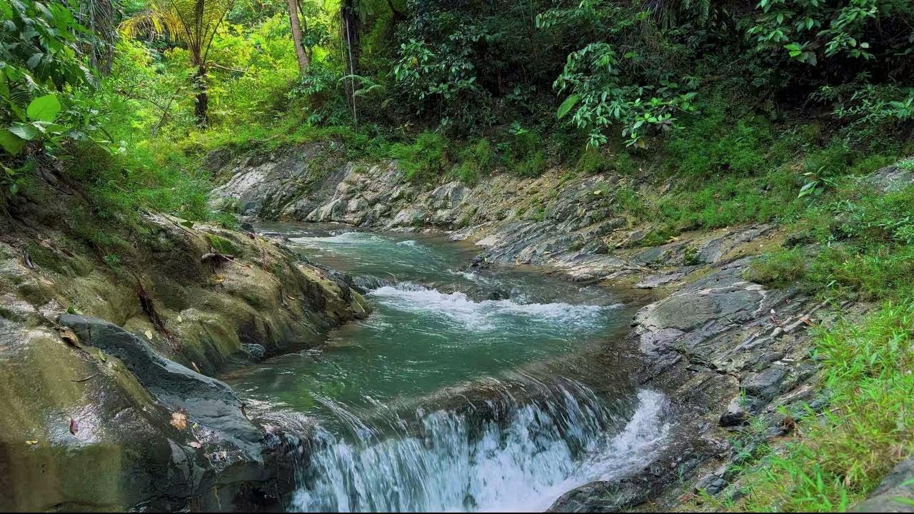 Deep Sleep with Water Stream River Ambience | Stress Relief Nature Flow Sounds for Peaceful Rest