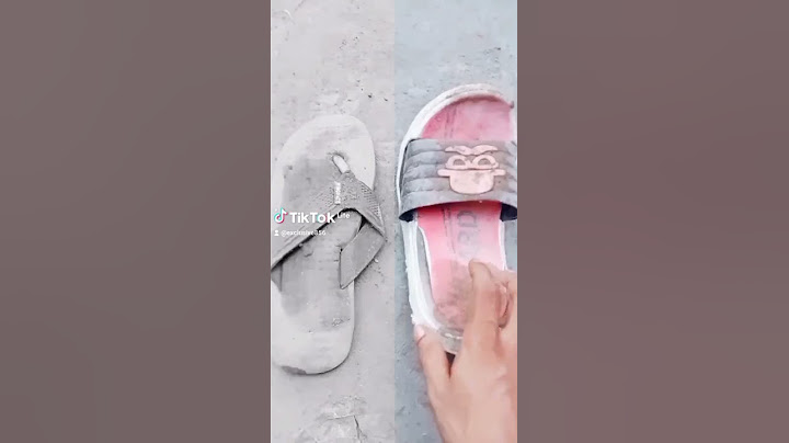 পৃথিবীর সবচেয়ে দামী জুতো