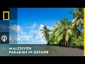 PODCAST - Malediven: Paradies in Gefahr | National Geographic