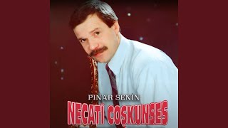 Pinar Seni̇n