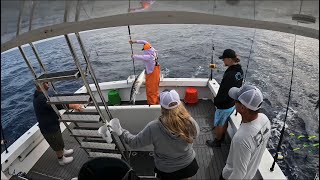 WAHOO ON MONO AND A MAHI ON THE WIRE