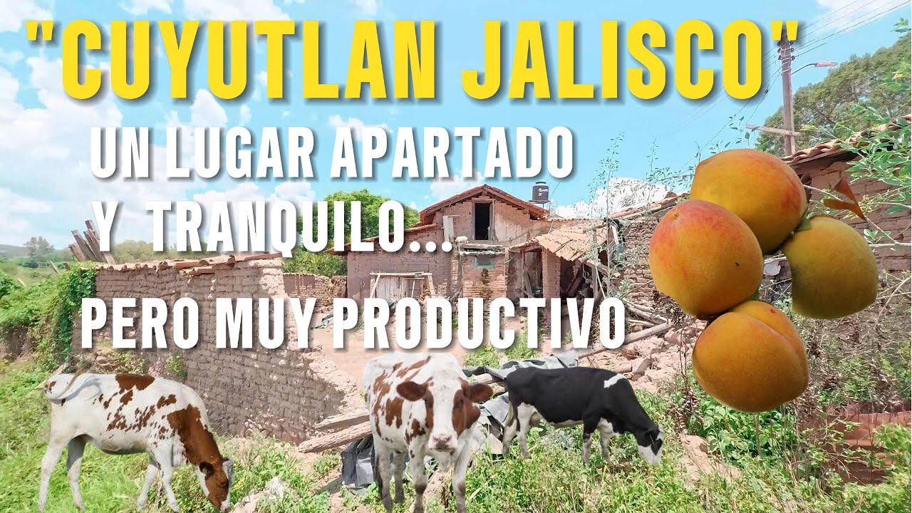 ES UN PUEBLO APARTADO PERO CON UNAS VISTAS HERMOSAS, Y TIERRAS MUY FERTILES ASI ES CUYUTLAN JALISCO