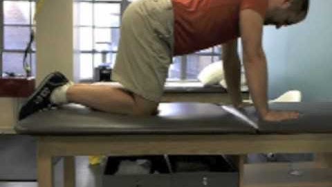 Quadruped core stabilization
