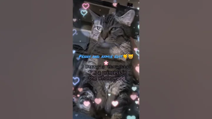 Penny edit and Aymie @aymieandfamily #penny #cat #2k #edits