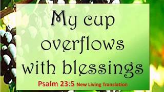PSALM 23:5 - My cup overflows - 6 Bible versions