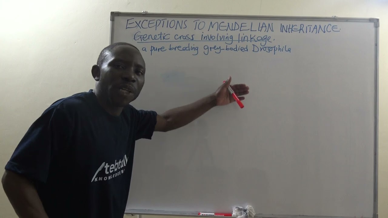 ⁣EXCEPTIONS TO MENDELIAN INHERITANCE 2