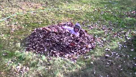 Anna in the Leaves