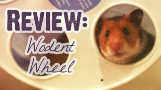 Review: Transoniq Wodent Wheel