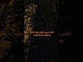 اللهم ارحم من لم نستوعب موتهم صدمه لم نتهيأ ابدا وقلوبنا لم تستوعب موتهم حينما ندعي لهم اللهم ارحم من لم نستوعب موتهم صدمه لم نتهيأ ابدا وقلوبنا لم تستوعب موتهم حينما ندعي لهم