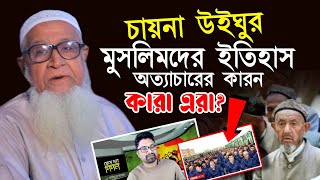 উইঘুর মুসলিমরা কারা অত্যাচারের কারন কি? আল্লামা লুৎফর রহমান Uyghur Muslim Allama Lutfur Rahman