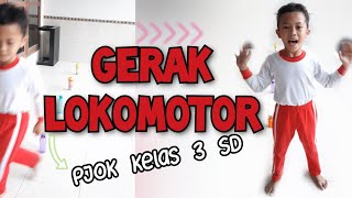 Belajar Gerak Dasar Lokomotor PJOK Kelas 3 SD Praktik Gerak Lokomotor Berjalan Belajar Gerak Dasar Lokomotor PJOK Kelas 3 SD Praktik Gerak Lokomotor Berjalan