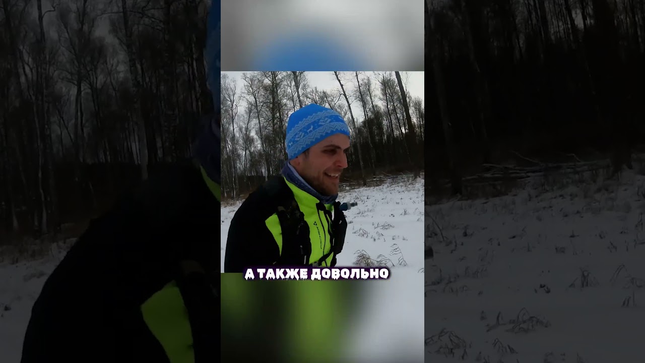 КАМ МЫ С ДРУЗЬМИ ПРОБЕЖАЛИ ТУЛЬСКИЙ ТРЕЙЛ🤘