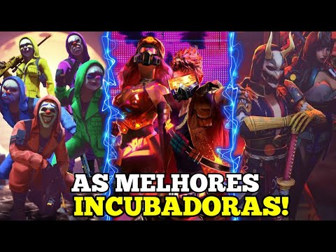 Vídeo: Qual incubadora é a melhor?