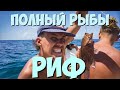 Рыбалка в Карибском Море и Охота на Рифе