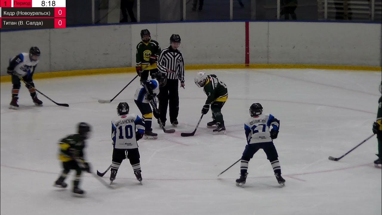 хк кедр новоуральск. хк кедр новоуральск 2009. кедр новоуральск хоккей логотип. хк кедр томск. кедр новоуральск хоккей.