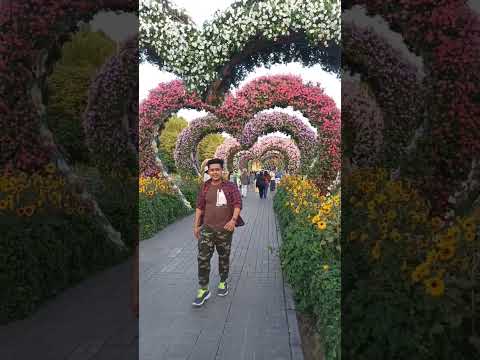 dubai miracle garden