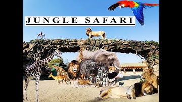 Jungle Safari Statue of Unity | 2020 Tour