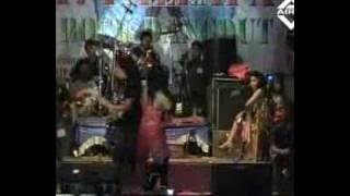 Belah Duren Novi Ananda putra palapa #dangdutlawas #music #koplo #putrapalapa
