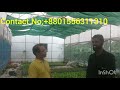 A  customer interview on tissue culture banana seedlings with prof m anowar hossain