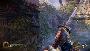 Shadow Warrior 2 bug