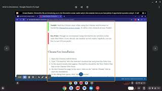 What is ChromeVox