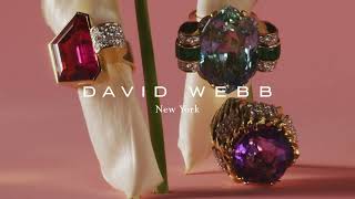 David Webb | A Balancing Act: In Full Bloom