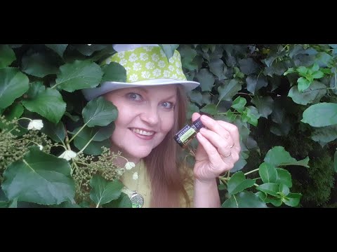Eteerinen öljy: pomeranssi/