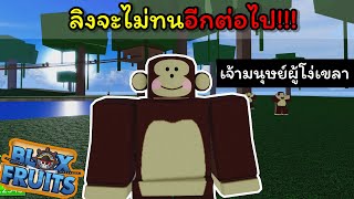 ลิงจะไม่ทนอีกต่อไป..!!!! [Blox Fruits] screenshot 4