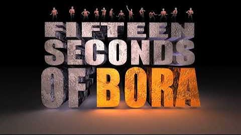 15 Seconds Of Bora Intro [HD]