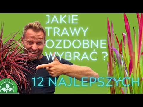 Wideo: Trawy Ozdobne W Ich Letnim Domku