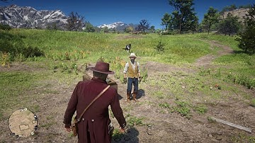 RDR2 - When developers have a great sense of Humor