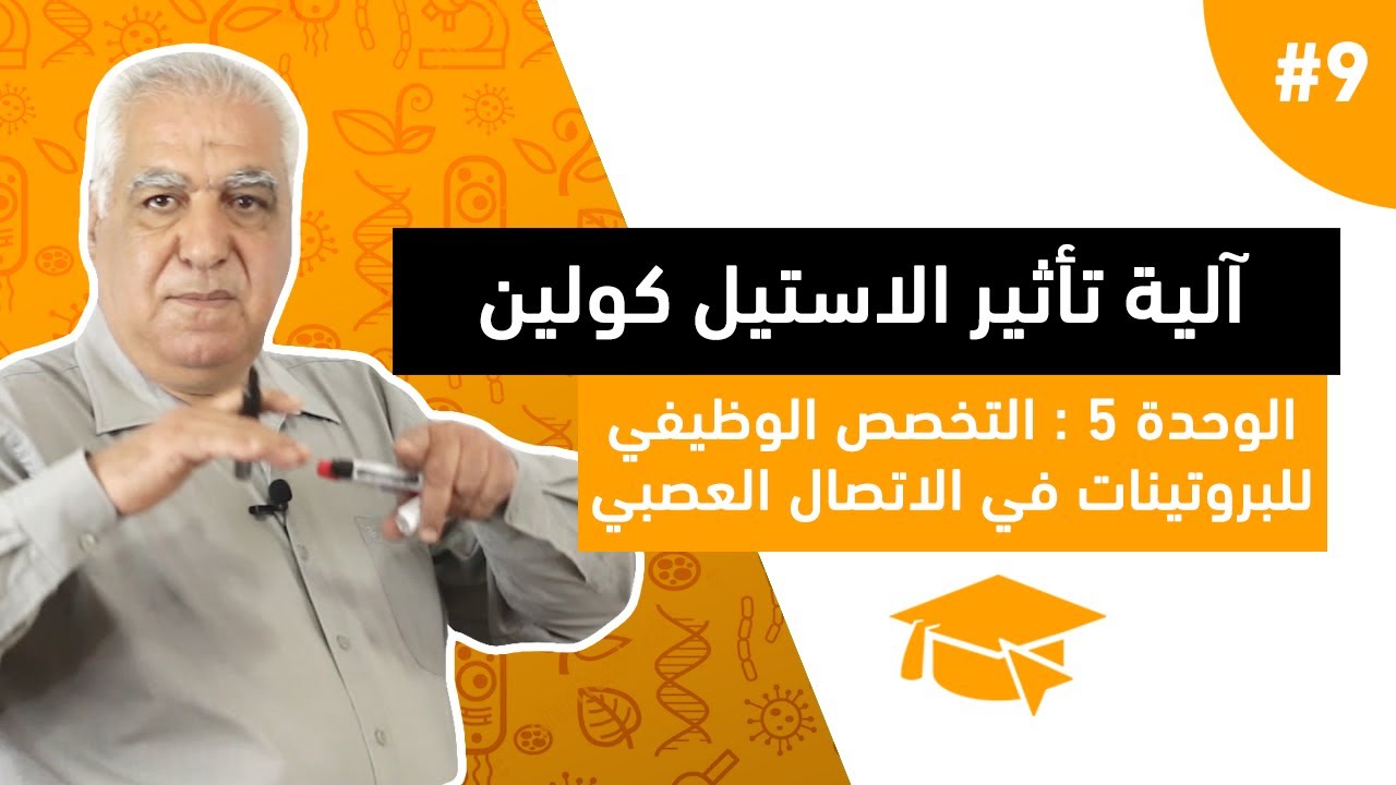 #9  التخصص الوظيفي للبروتينات في الاتصال العصبي : آلية تأثير الأستيل كولين ( الجزء الثاني )