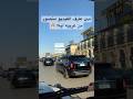 المافيا المصري المافيا المصري