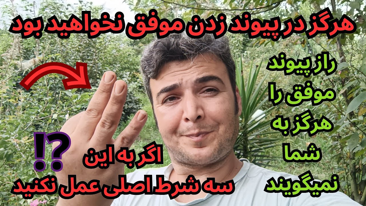 چرا با هر روشی پیوند میزنید موفقیت آمیز نیست 😨 رازی که از شما پنهان کردند چیست