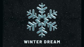 Icysami - Winter Dream (Music Visualiser)