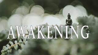 Awakening: Turning the Mind Toward the Dharma by Joseph Goldstein screenshot 5