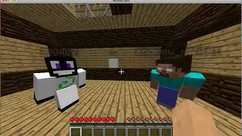 Intro To The Channel + Super Craft Bros!